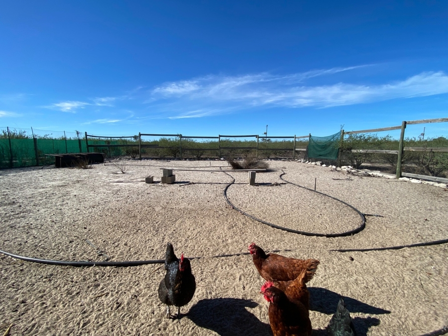 Commercial Property for Sale in Hartebeesfontein Western Cape